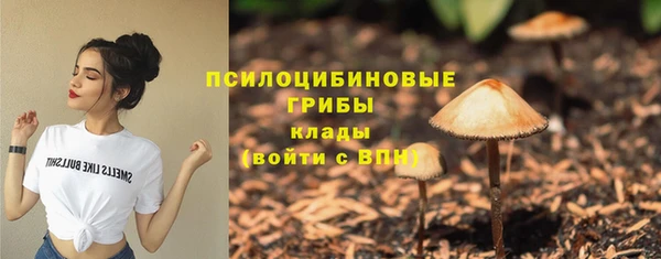 ГАЛЛЮЦИНОГЕННЫЕ ГРИБЫ Алексин