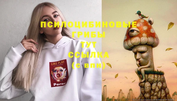 2c-b Алзамай