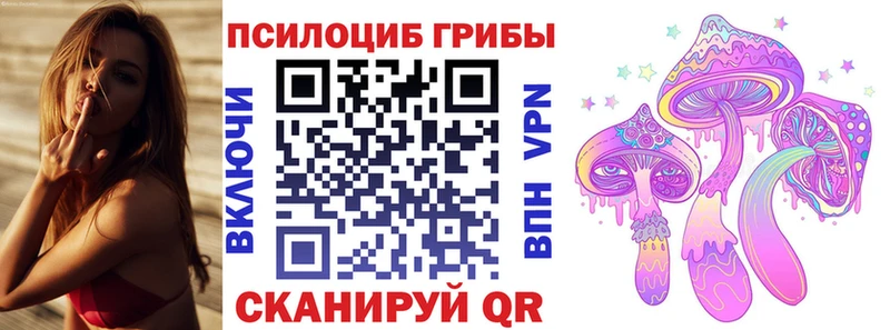 цена наркотик  Ува  OMG   Псилоцибиновые грибы MAGIC MUSHROOMS 